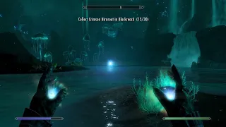 SKYRIM - Crimson Nirnroot Locations Walkthrough no cuts