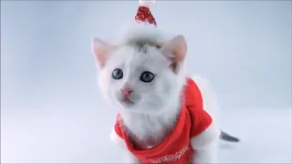boney m best christmas songs short mix