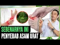 Download Lagu Ini Penyebab Asam Urat yang Sebenarnya