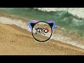 Download Lagu TURÖ - Carpe Diem: Tropical Dreamin'