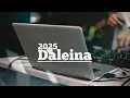 Download Lagu PARTY STADIUM DALEINA 2025 ‼️🔥