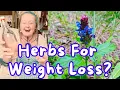 ✨Herbs For Weight Loss?