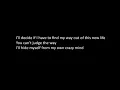Download Lagu Siouxxie - Its your fault im antisocial lyrics