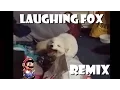 Lagu Cute White Fox Laughing - Remix Compilation