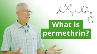 A Brief History of Permethrin Where it Comes from and How it Works