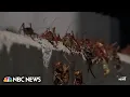 Massive cricket invasion takes over Nevada town