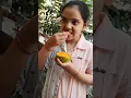 Download Lagu Alphonso Mango 🥭 | Hapus Mango Eating | King of all Fruits #mango #youtubeshorts #viral