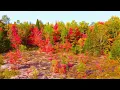 Great Smoky Mountains Autumn 4K 🍁 | The Beauty of Fall in the Appalachian Mountains