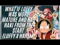 what if luffy was more mature and had haki from the start luffy x harem part 1