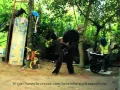 Download Lagu Lefthanded/Sweet Charity ~ Debunga Wangi / Teratai (cover by KelembaiBand)