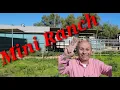 MINI RANCH for sale in Norco Ca