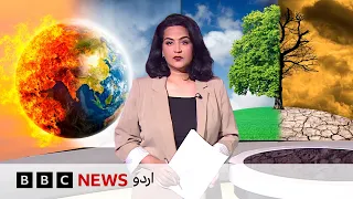 Pakistan and India Face the Worst El Niño. Heatwaves, Drought, Failing crops | Jahan Numa | BBC Urdu