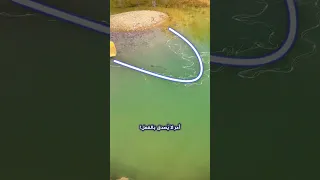 لن تصدق ذكاء هذه السمكة في تفادي شبكة الصيد Shorts 