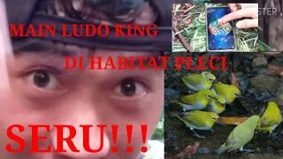 Download PIKAT PLECI||BONUS LUDO KING..SERU!!!_PASUKAN GUNTAYANG MP3