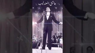 أنت شايف الحب كله عيون وهمس عبدالحليم حافظ حالات واتس أب 