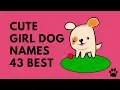 Cute Girl Dog Names - 43 BEST NAMES you will LOVE Names