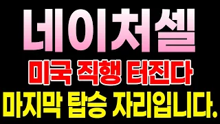 [네이처셀 주가전망] 드디어 오늘 미국 96억 들어왔습니다! 9월 나스닥 상장 신청 임박... 지금 안 타면 영영 못 잡는 이유