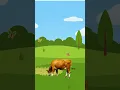 Download Lagu Sapi moooo | Lagu Anak Indonesia | Lagu Anak Terbaru