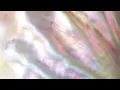 Clams Casino - I’m God ( best part looped + reverb )