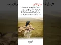 Download Lagu Deep line 🥀💥❤️‍🩹 | Urdu shayari | WhatsApp status | #noor_fatima_171 #1millionaudition #asthetic