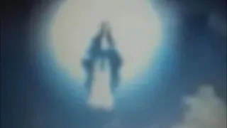 ظهورات حقيقية للعذراء مريم  ظهورات حقيقية للعذراء مريم