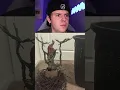 Creepy things found in abandon houses