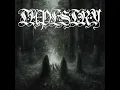 Download Lagu TAPESTRY -Ritual of the Nightfall