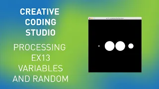 processing ex13 variables plus random function
