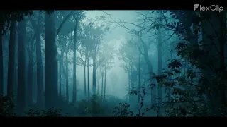 Come Entertain Us - Trailer for upcoming series in Quotev
