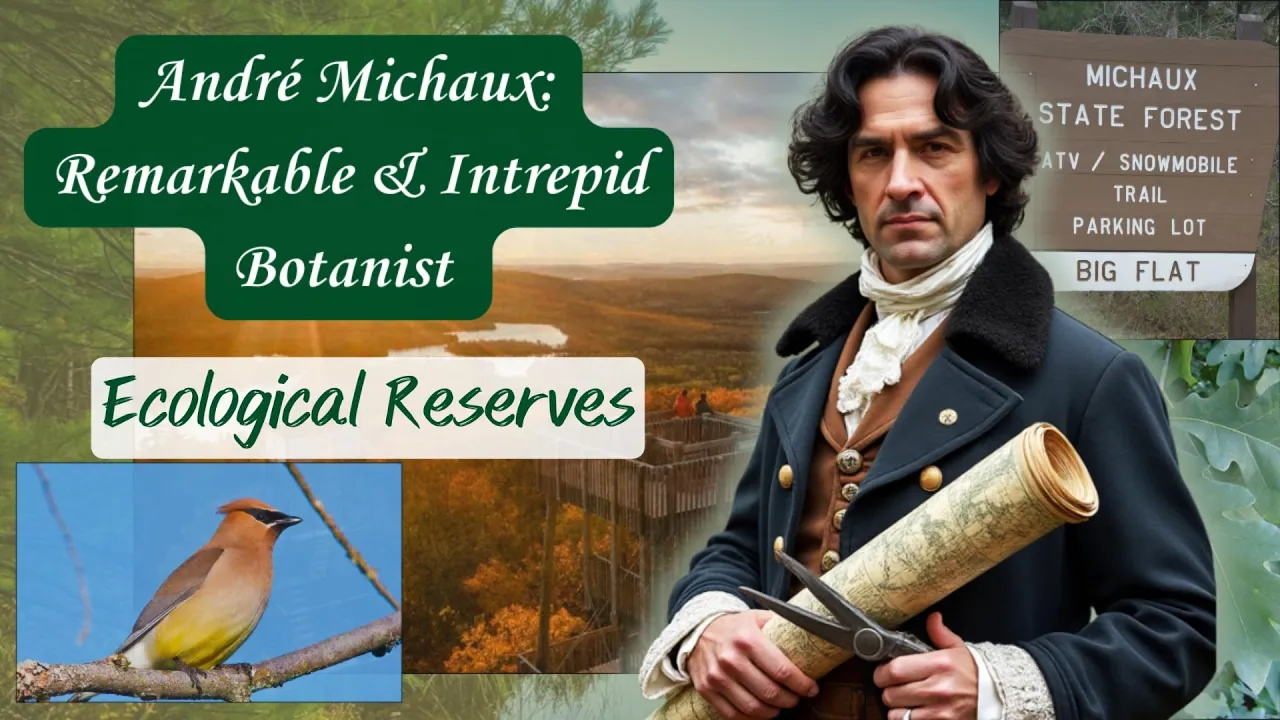 André Michaux: Formative Years