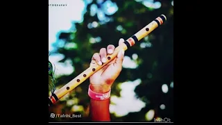 توله قرصک  دندنها