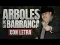 ARBOLES DE LA BARRANCA con LETRA El Coyote y su Banda Viejitas Rancheritas