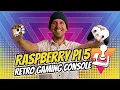Build a Retro Gaming Console with a Raspberry Pi 5