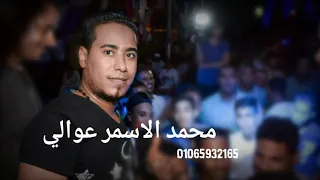 محمد الاسمر عوالي دندنها