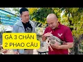 Lagu Một ngày với nhiều điều độc lạ ở Ninh Thuận