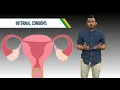 Birth Control Options Covered with Condoms