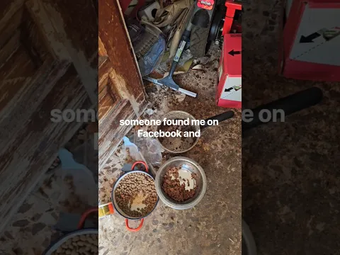 FREE help for this 72 years old lady