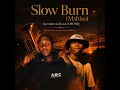 Slow Burn (Mshiso)