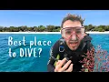 Lagu Scuba Diving in Bohol, Philippines | Best Place to Scuba Dive