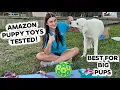 Best Toys for XL Large Amazon Favorites Reviewed