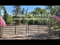 12 8 - Acres for Sale in Cottondale FL Mini Farm Hunting Land in Jackson County