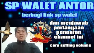 suara panggil walet sp antor walet berbagi sp walet
