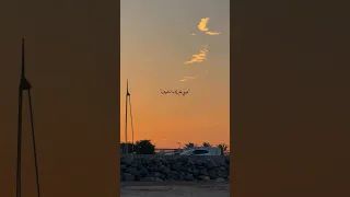 عيني لغيرك ما تشوف يا اجمل غرامي عبدالله ال فروان حالات واتس اب تصميمي 