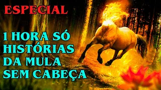 MULA SEM CABEÇA 1 HORA DE HISTÓRIAS