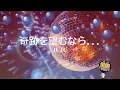 奇跡を望むなら... / JUJU [歌える音源] (歌詞あり　2006年 クピドの悪戯　ガイドメロディーなし　オフボーカル　karaoke)