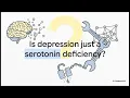 Neuronal Atrophy: How Stress Changes Brain Structure in Depression (Krasner et al., 2025)