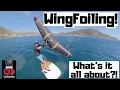 Download Lagu Wing Foiling- What's it all about!?