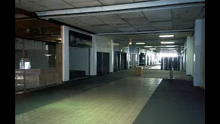 Icarus Instupendo Slowed Reverb 