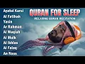Download Lagu Quran Recitation in A Peaceful Voice I Ayat AlKursi, Alfatiha, Yasin,Arrahman ,AlWaqiah,Almulk
