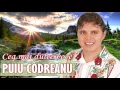 Download Lagu PUIU CODREANU COLAJ MUZICA POPULARA